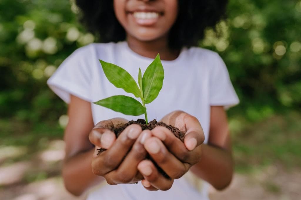 Dilulu Environmental Education & Community Gardens