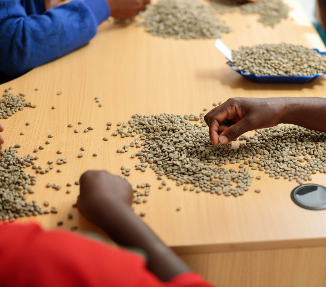 Building Community Seed Banks: Preserving Agricultural Heritage