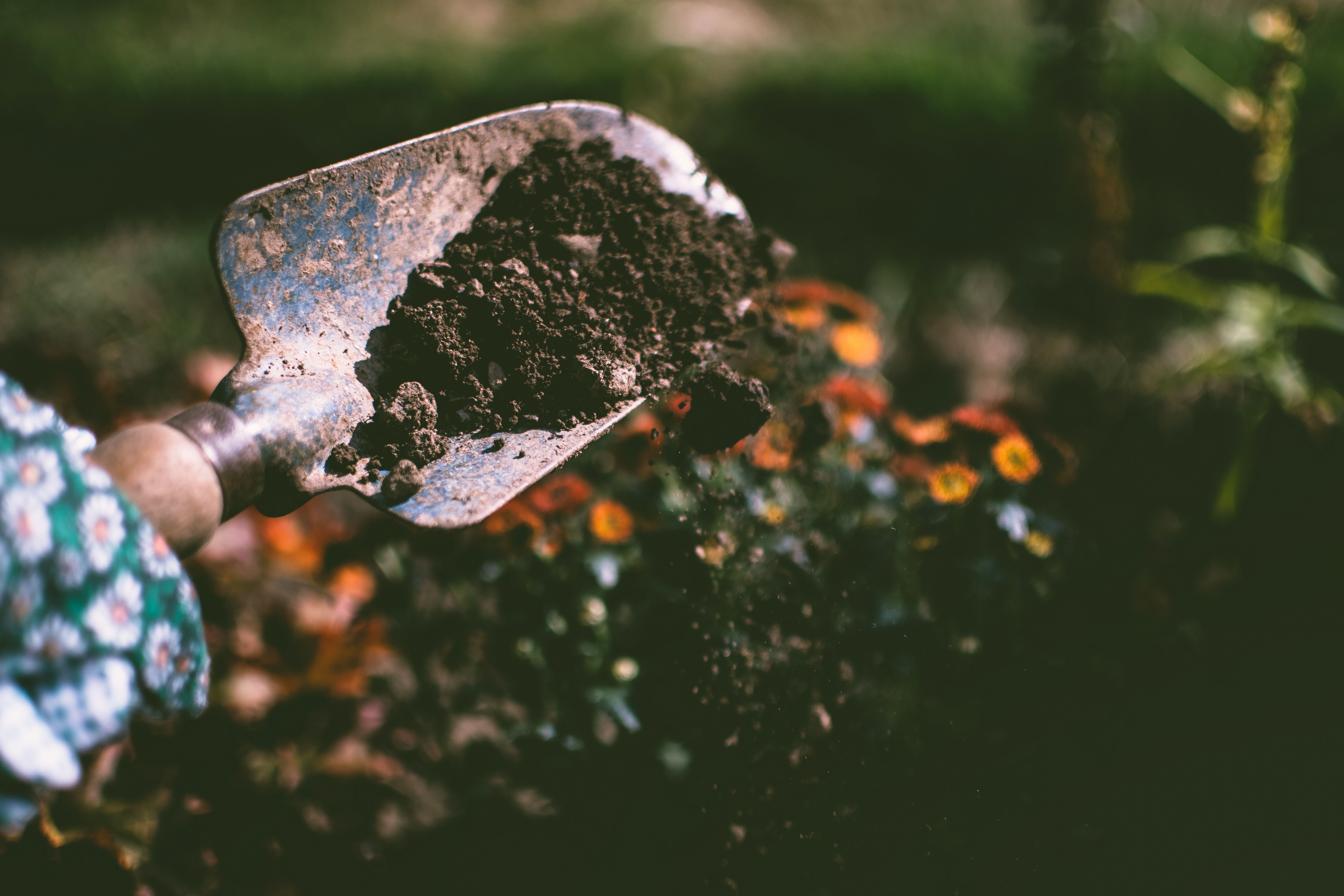 Entries Now Open for the 2027 School Garden Competition