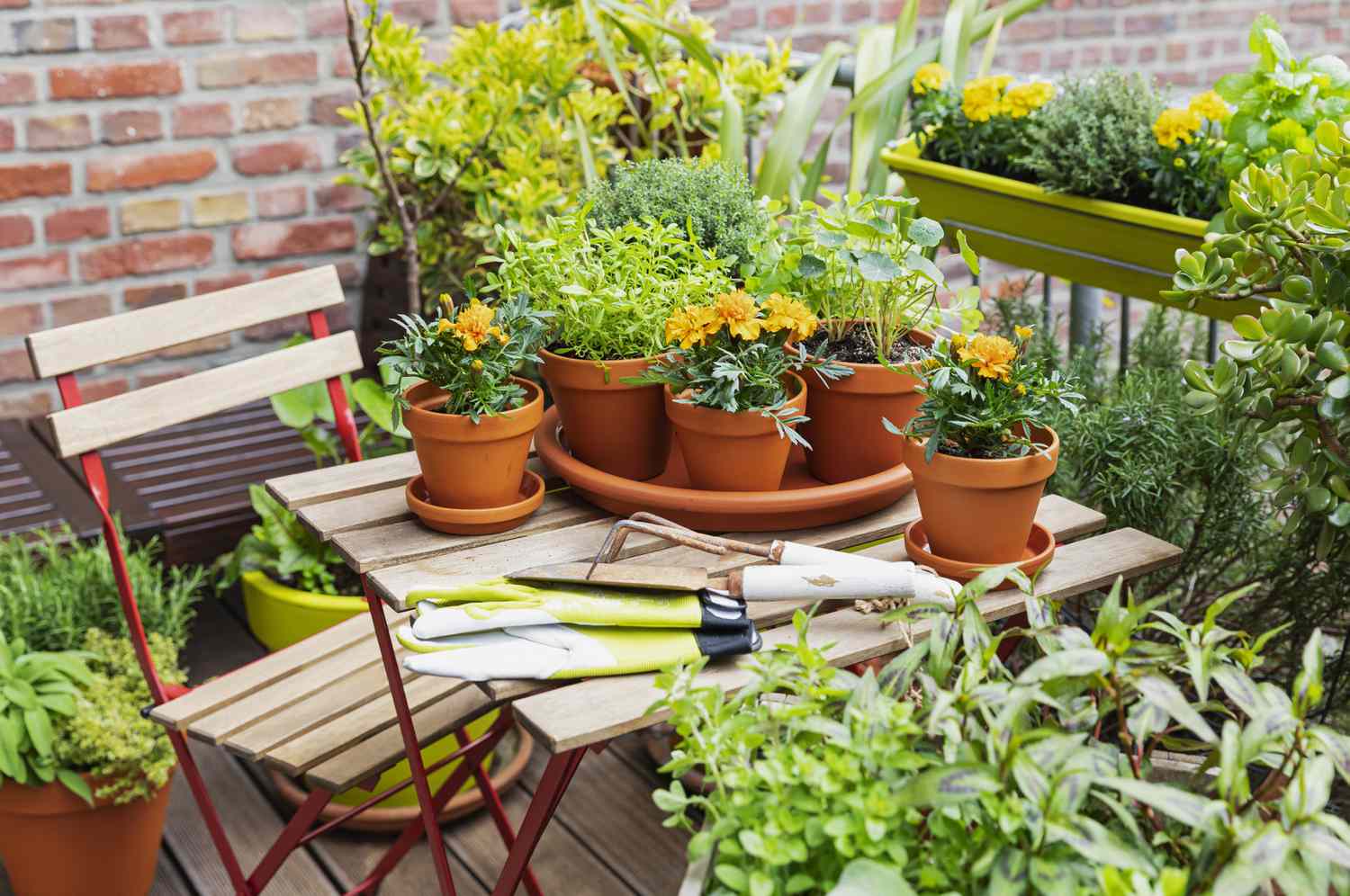 Container Gardening Solutions for Urban Spaces
