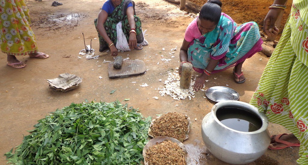 Natural Pest Control with Botanical Remedies