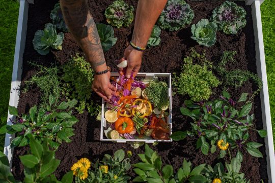 Composting Mastery