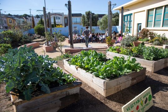 School Garden Design