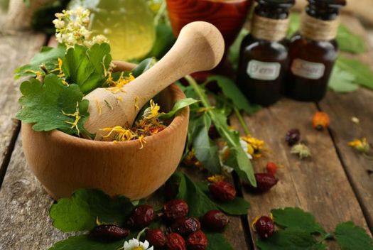 Medicinal Plants & Herbal Remedies