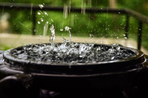 Rainwater Harvesting Systems