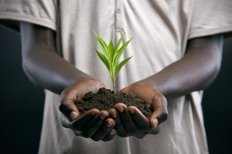 Composting Masterclass