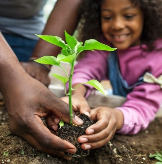 Children learning in a school garden