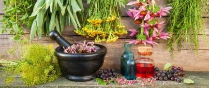 Medicinal Garden Guide