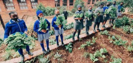 School Garden Guide