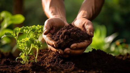 Soil Health Guide