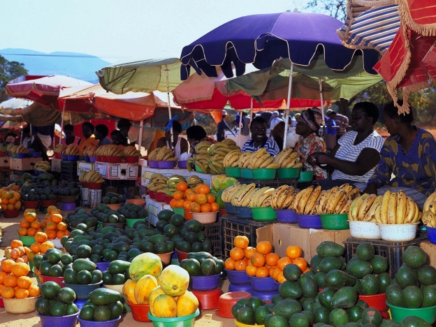 Annual Garden Festival