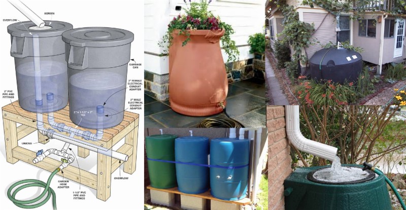 Rainwater Harvesting Workshop