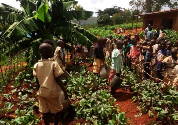 School Garden Inauguration