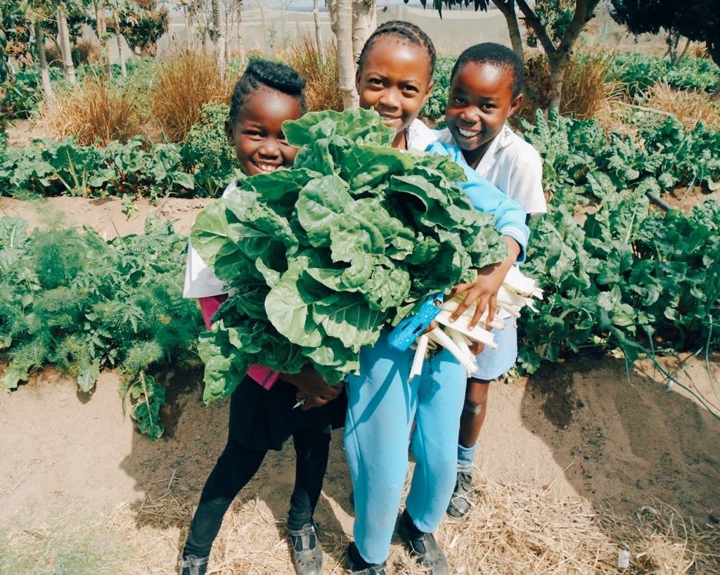 School Garden Program