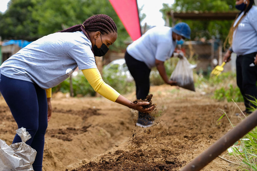 Composting Initiative