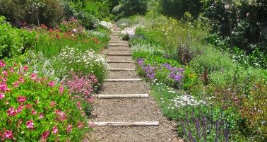 Native Plant Gardens