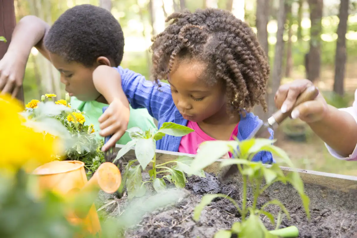 Students learning in a school garden
