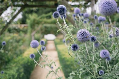Sensory Garden