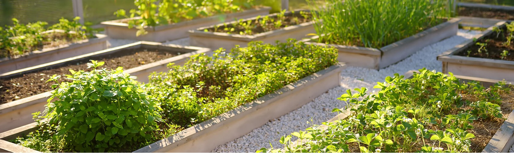 Libreville Urban Garden