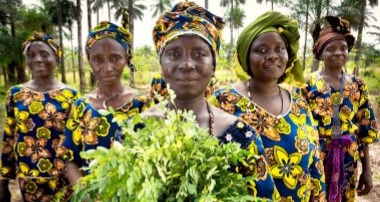 Women's Cooperative