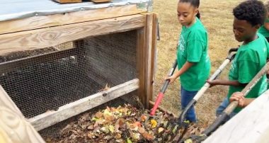 School Composting